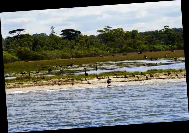 Lonsdale Eco Cruise