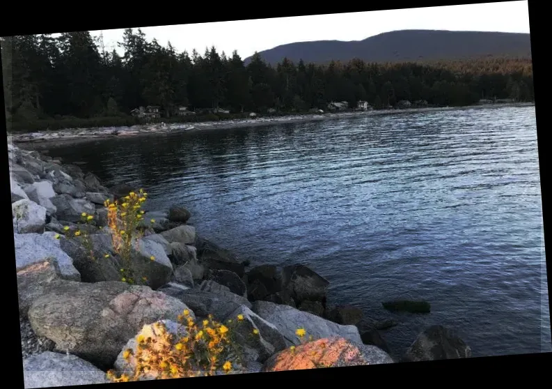 Roberts Creek Pier