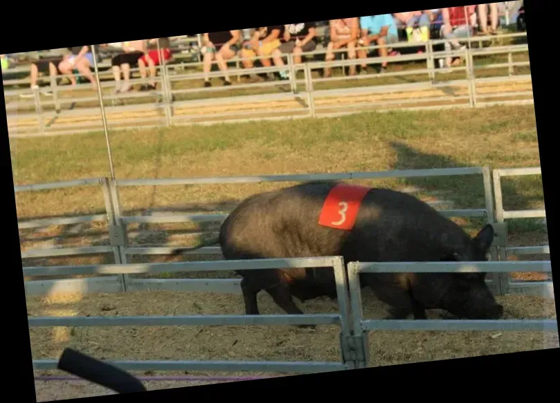 Clay County Fairgrounds