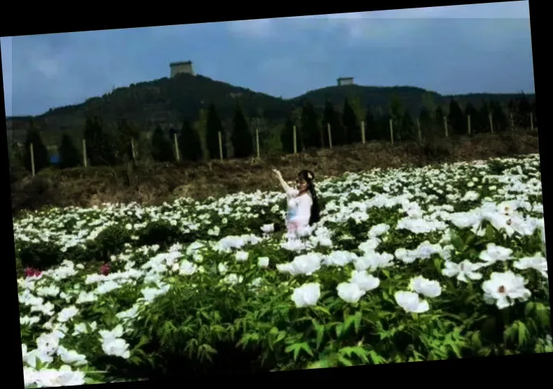 Ganling Datang Peony Garden