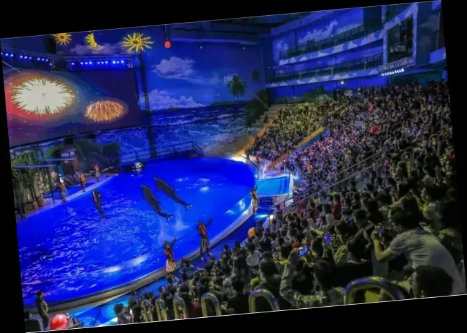 Nanning Polar Ocean World