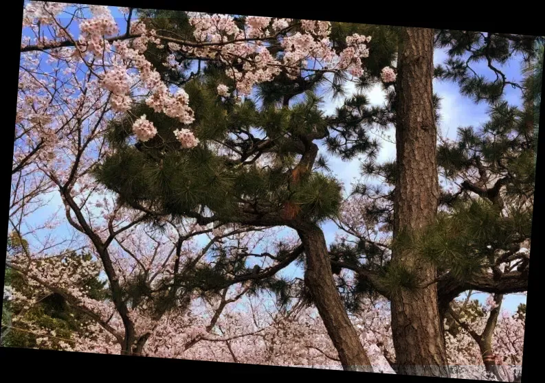 로조공원