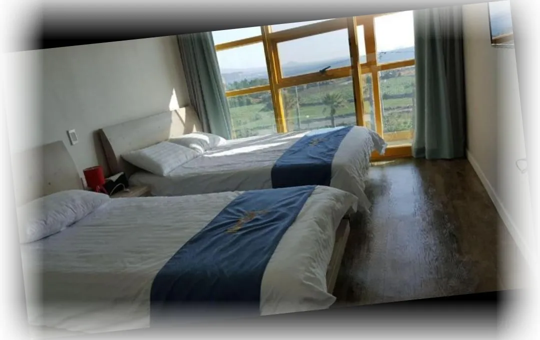 The_Freedom_-_Hostel_image_2.webp