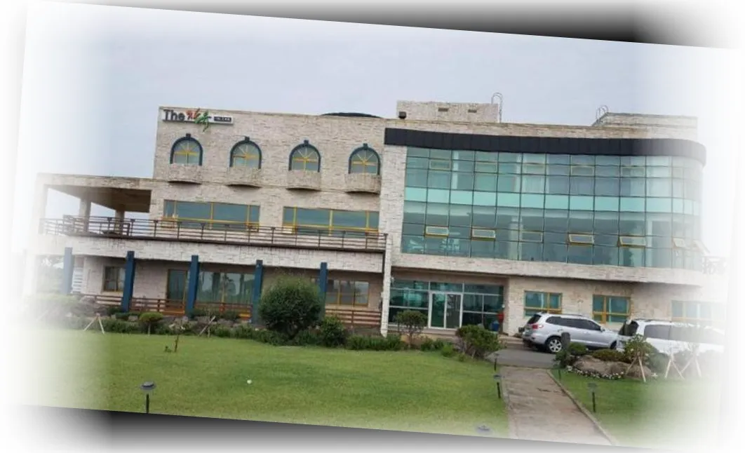The_Freedom_-_Hostel_image_3.webp