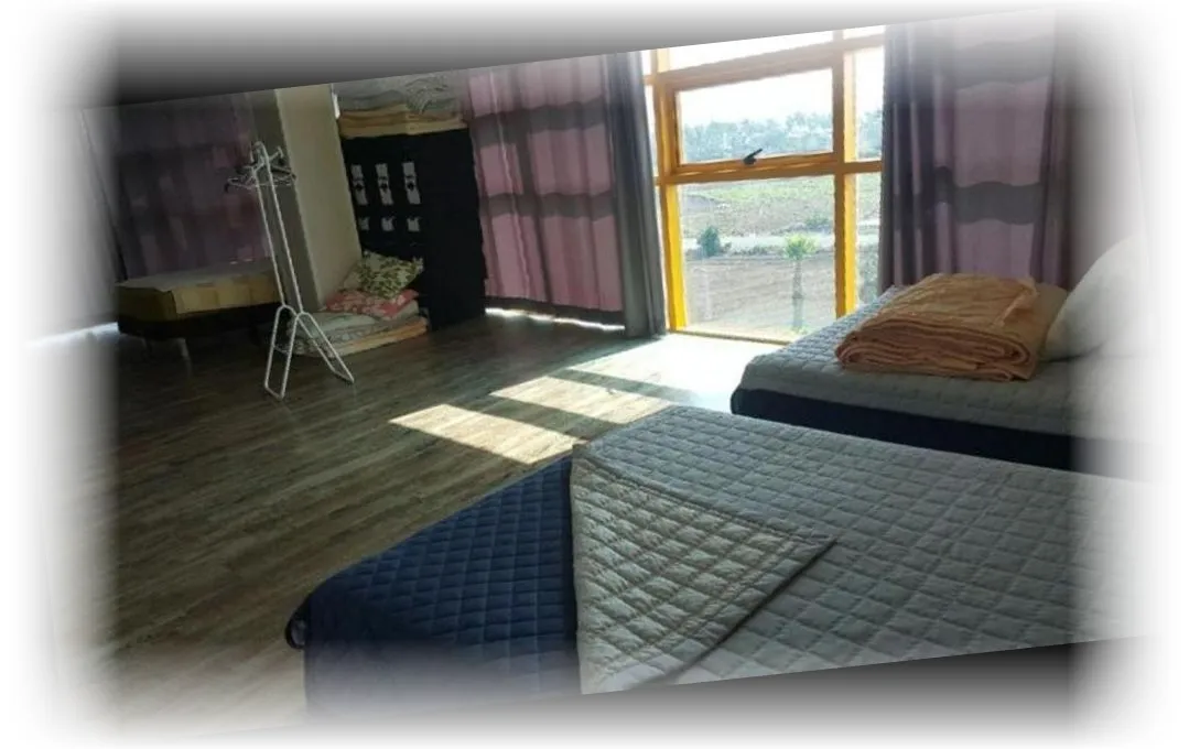 The_Freedom_-_Hostel_image_8.webp