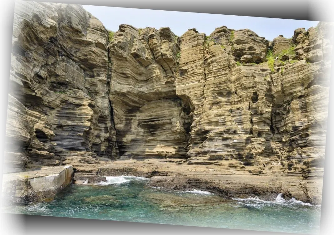 _____________image_8.webp
