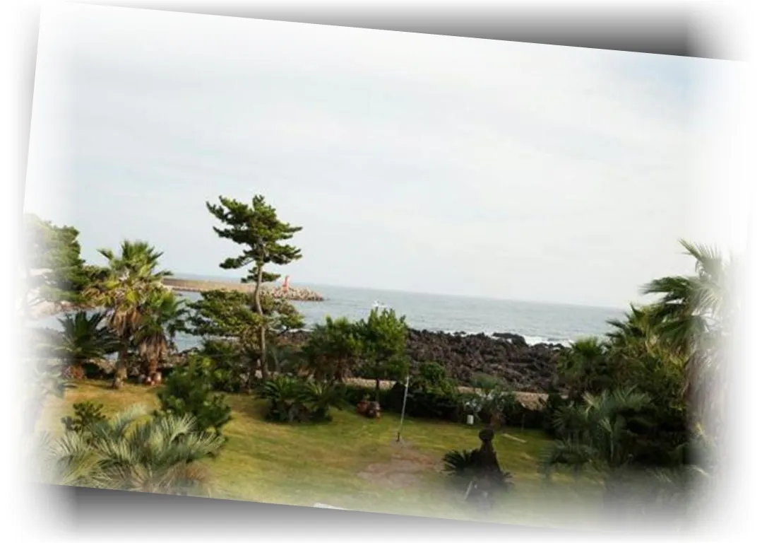 _____________image_6.webp