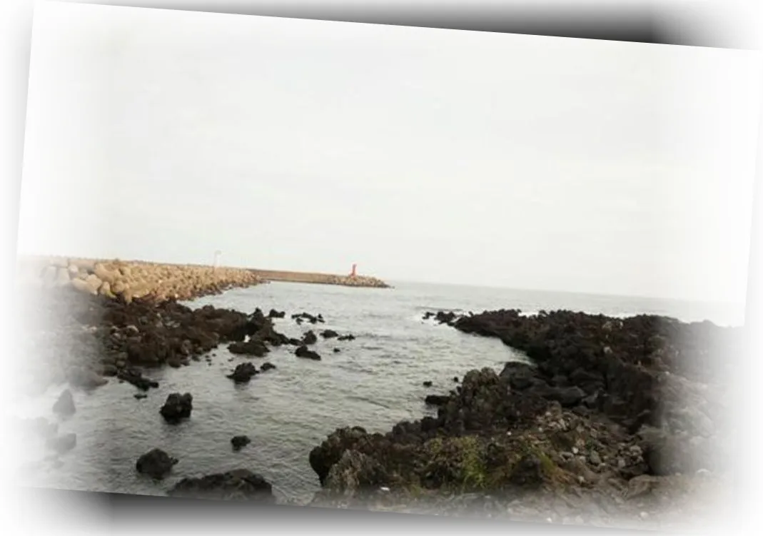 _____________image_7.webp