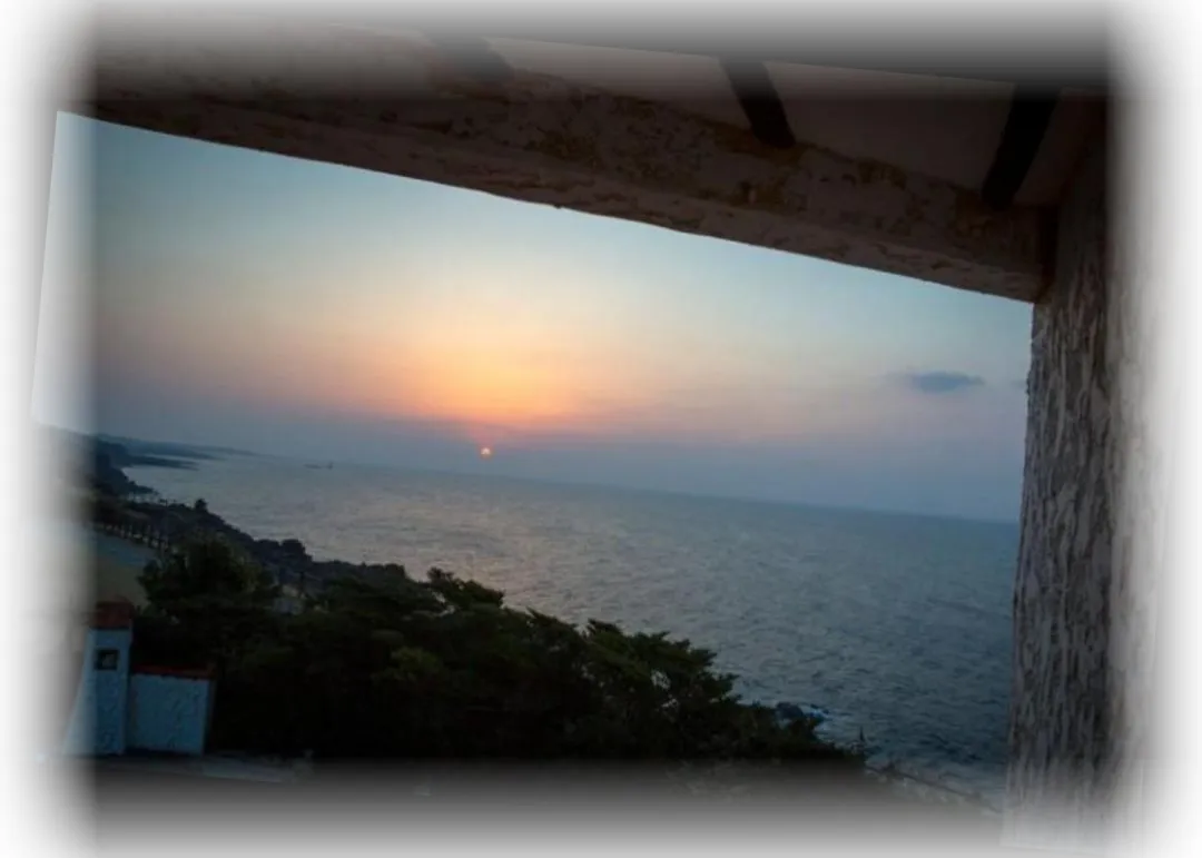 ___________image_9.webp