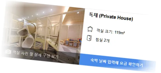 ____________room_1.webp